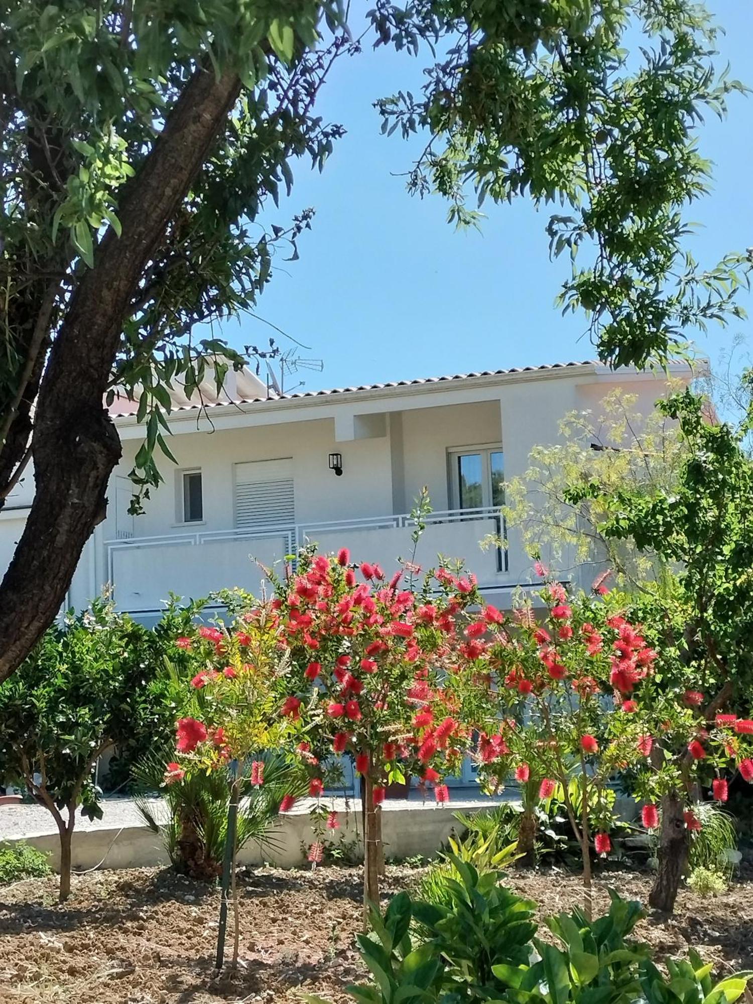 Casa Ferreri Hotel Santa Ninfa Exterior foto